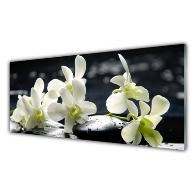 Panneaux de cuisine en verre Pierres fleurs floral blanc noir