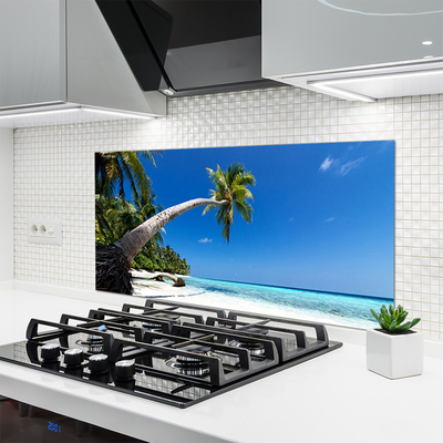Panneaux de cuisine en verre Mer plage palmier paysage brun vert bleu