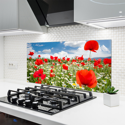 Panneaux de cuisine en verre Fleurs prairie nature rouge blanc vert