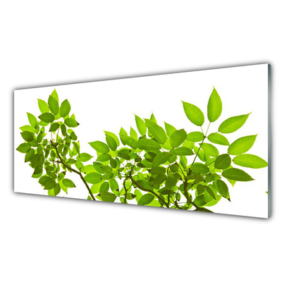 Panneaux de cuisine en verre Branches feuilles floral brun vert