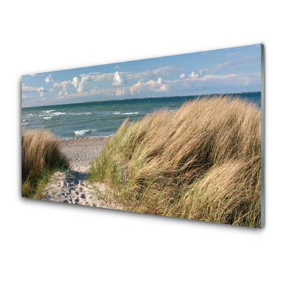 Panneaux de cuisine en verre Sentier herbe mer paysage brun bleu vert