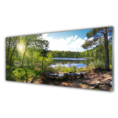 Panneaux de cuisine en verre Lac forestier nature brun vert