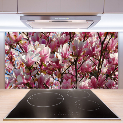 Panneaux de cuisine en verre Branches fleurs floral brun rose