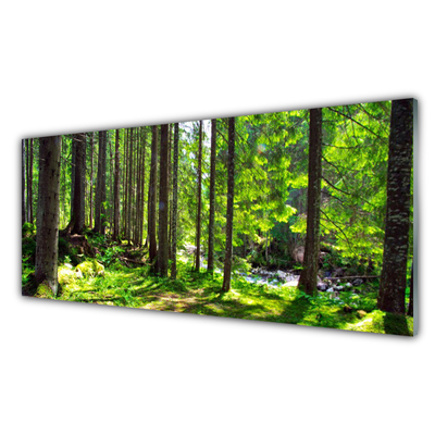 Panneaux de cuisine en verre Forêt nature brun vert