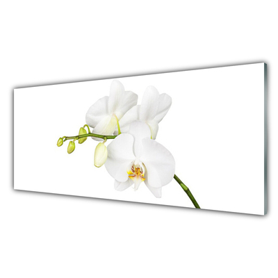 Panneaux de cuisine en verre Fleurs floral blanc