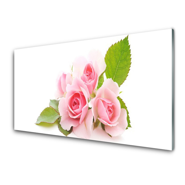 Panneaux de cuisine en verre Roses floral rose