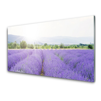 Panneaux de cuisine en verre Fleurs prairie nature violet