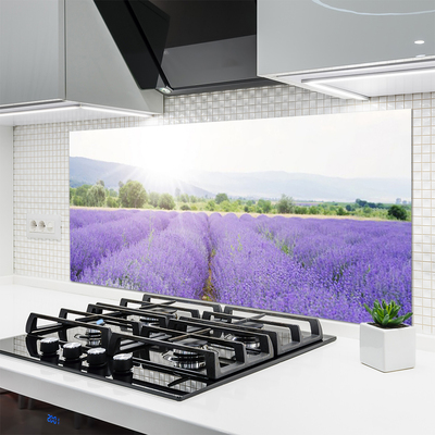 Panneaux de cuisine en verre Fleurs prairie nature violet