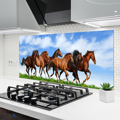Panneaux de cuisine en verre Chevaux animaux brun blanc