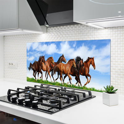 Panneaux de cuisine en verre Chevaux animaux brun blanc
