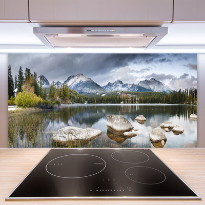 Panneaux de cuisine en verre Montagnes forêt lac paysage gris brun vert