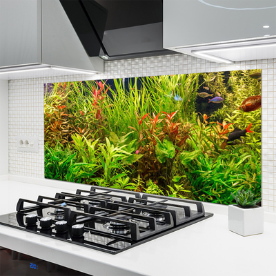 Panneaux de cuisine en verre Plantes floral vert brun