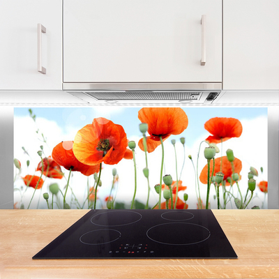 Panneaux de cuisine en verre Coquelicots floral rouge