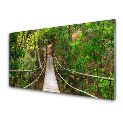 Panneaux de cuisine en verre Forêt pont nature brun vert