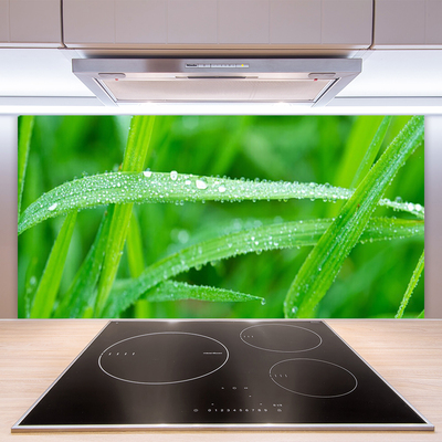 Panneaux de cuisine en verre Herbe nature vert