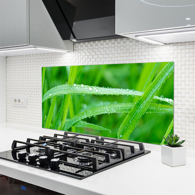 Panneaux de cuisine en verre Herbe nature vert