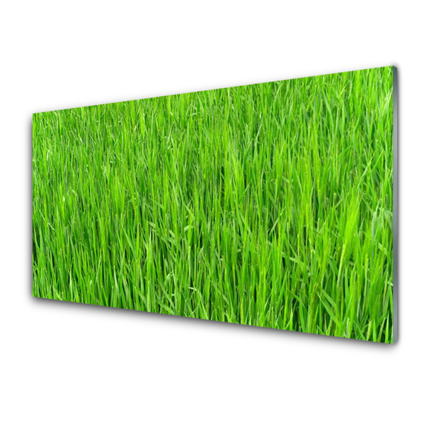 Panneaux de cuisine en verre Herbe nature vert