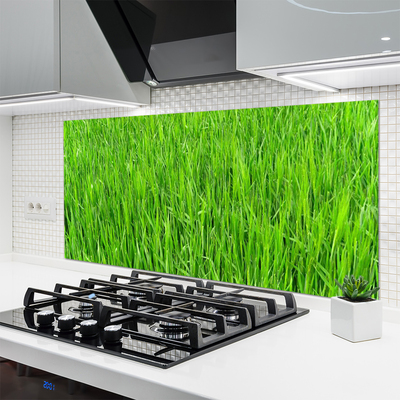 Panneaux de cuisine en verre Herbe nature vert