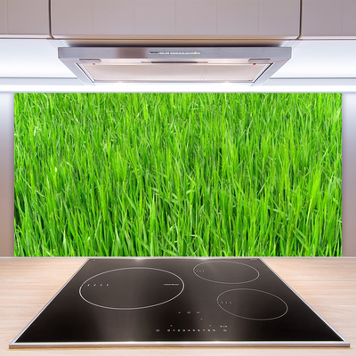 Panneaux de cuisine en verre Herbe nature vert