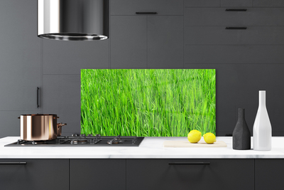 Panneaux de cuisine en verre Herbe nature vert