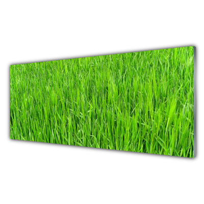 Panneaux de cuisine en verre Herbe nature vert