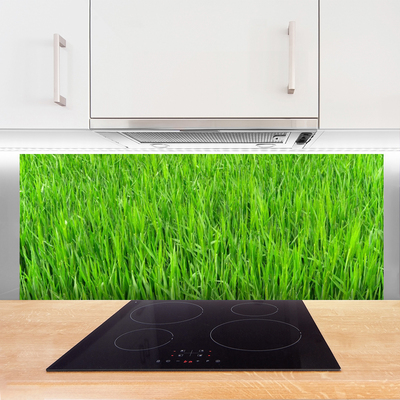 Panneaux de cuisine en verre Herbe nature vert