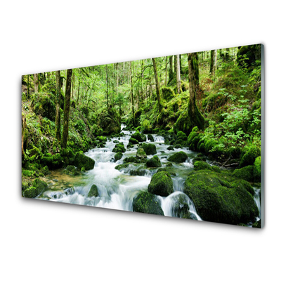 Panneaux de cuisine en verre Forêt lac pierres nature brun vert blanc