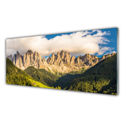 Panneaux de cuisine en verre Montagnes paysage brun vert