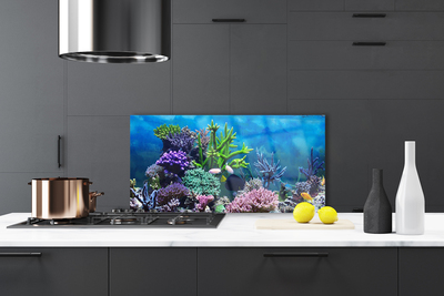 Panneaux de cuisine en verre Récif de corail nature multicolore