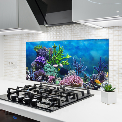 Panneaux de cuisine en verre Récif de corail nature multicolore