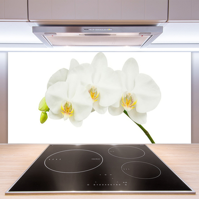 Panneaux de cuisine en verre Fleurs floral blanc