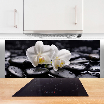 Panneaux de cuisine en verre Pierres fleurs art blanc noir