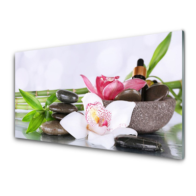 Panneaux de cuisine en verre Bambou pierres fleurs floral vert blanc gris