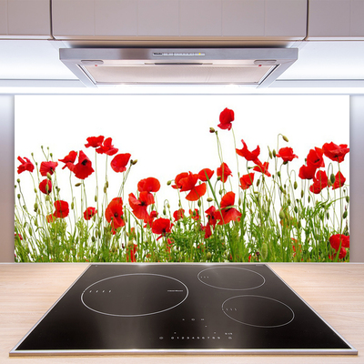 Panneaux de cuisine en verre Coquelicots prairie nature vert rouge