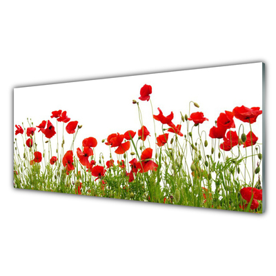 Panneaux de cuisine en verre Coquelicots prairie nature vert rouge