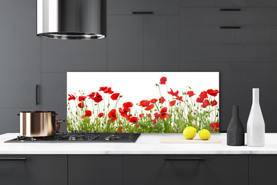 Panneaux de cuisine en verre Coquelicots prairie nature vert rouge