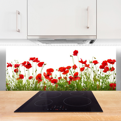 Panneaux de cuisine en verre Coquelicots prairie nature vert rouge