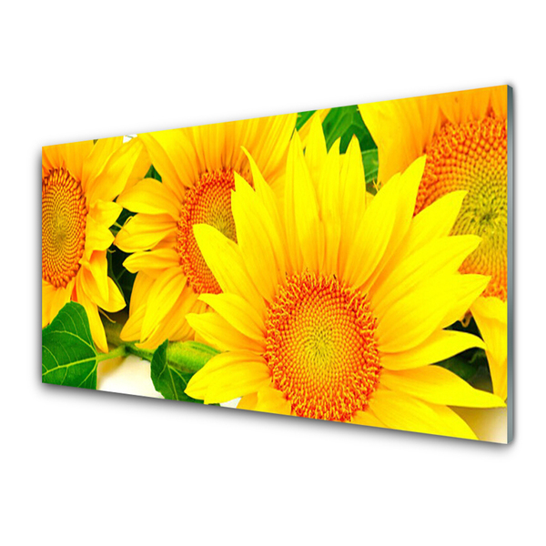 Panneaux de cuisine en verre Tournesol floral jaune