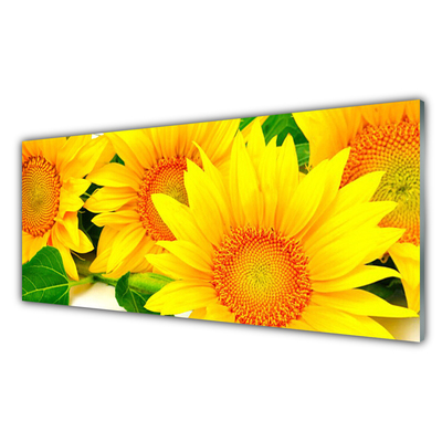 Panneaux de cuisine en verre Tournesol floral jaune