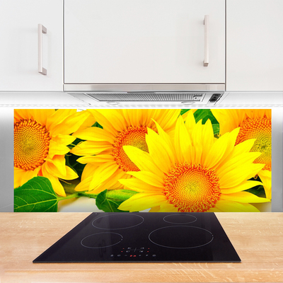 Panneaux de cuisine en verre Tournesol floral jaune