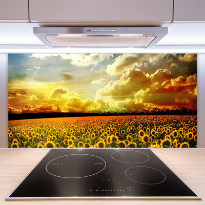Panneaux de cuisine en verre Tournesol prairie floral jaune brun