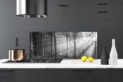 Panneaux de cuisine en verre Forêt nature gris