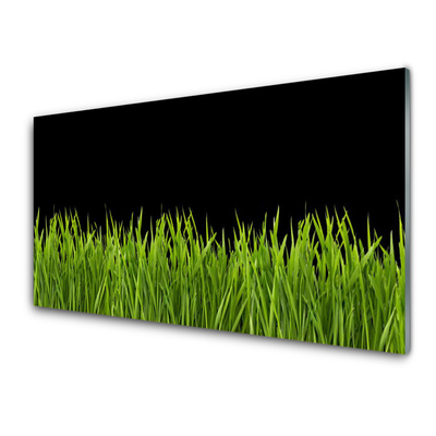 Panneaux de cuisine en verre Herbe nature vert