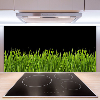 Panneaux de cuisine en verre Herbe nature vert