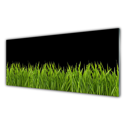 Panneaux de cuisine en verre Herbe nature vert