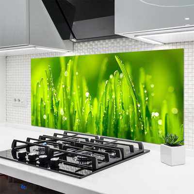 Panneaux de cuisine en verre Herbe nature vert