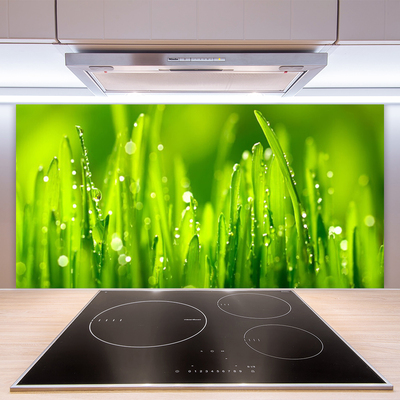 Panneaux de cuisine en verre Herbe nature vert