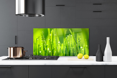 Panneaux de cuisine en verre Herbe nature vert