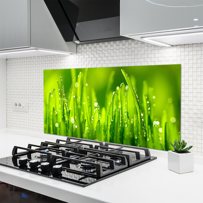 Panneaux de cuisine en verre Herbe nature vert