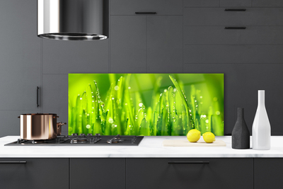 Panneaux de cuisine en verre Herbe nature vert